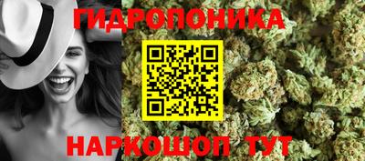 наркотики Заводоуковск