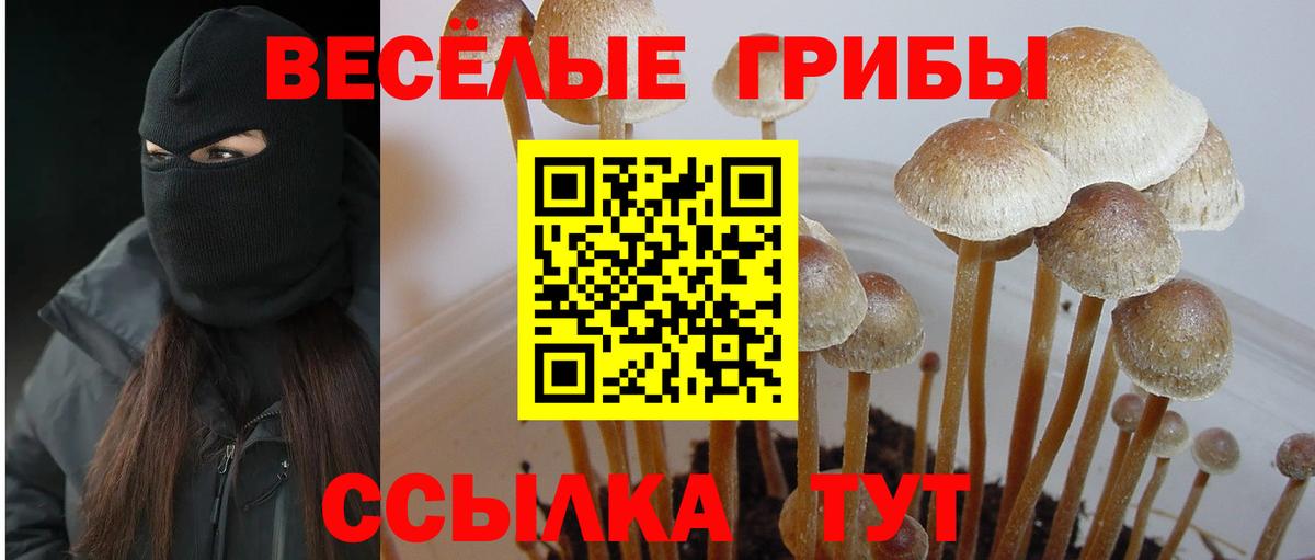 Галлюциногенные грибы Cubensis  Вход с VPN  Люберцы  Псилоцибиновые грибы Magic Shrooms 